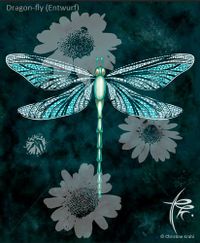 Dragon Fly &copy; Christine Krahl